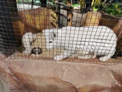 -酷嗒动物文化乐园(cutezoo西溪乐天城店)