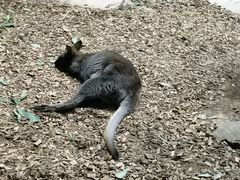 -香港海洋公园