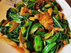 蒜苗回锅肉-樽宴酒楼·地道川菜·品质宴请