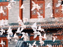 -西安大兴善寺