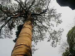 -北京上方山国家森林公园