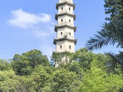 -江心屿景区