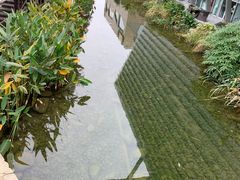-活水公园