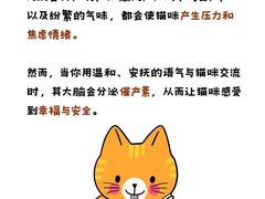 -帕帕拉兹宠物(亚洲旗舰店)