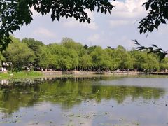 -长春市南湖公园