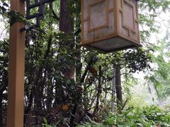 -遂昌金矿国家矿山公园