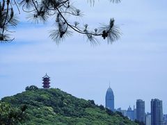 -惠山国家森林公园