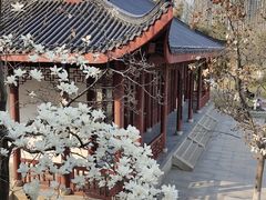 -堤角公园