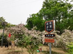 -老君堂公园