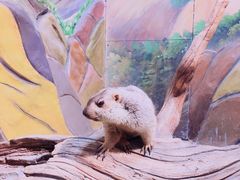 -华夏文旅西安度假区