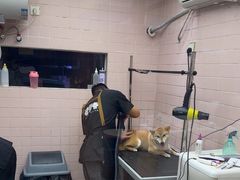 -FAELING PETS美天灵宠物(富力广场店)