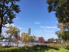 -上海山野camping·户外天幕烧烤·团建拓展营地