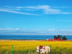 -青海湖国家重点风景名胜区