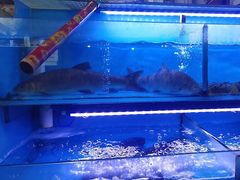 -韩妹鱼庄·泸定老字号(泸定店)