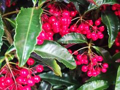 -三旗百汇商品城