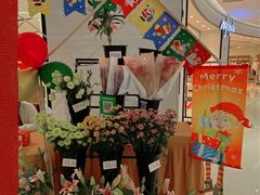 -石狮世茂摩天城摩天轮