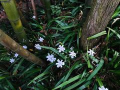 -重庆雨台山风景区