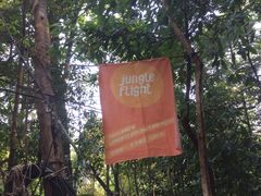 -清迈丛林飞跃 JungleFlight