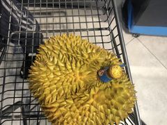 -盒马鲜生(悠方店)