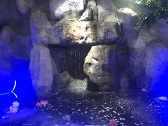 -香山湖家家宴(中山陵店)