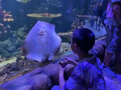 -华夏文旅海洋公园