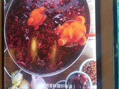 -青瓷火锅料理(西单大悦城店)