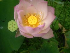 -镇江市南山风景名胜区竹林景区