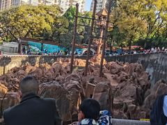 -昆明动物园