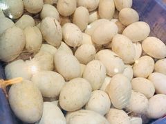 -优之名鹅城