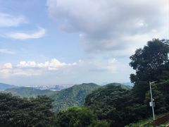 -黄埔油麻山森林公园