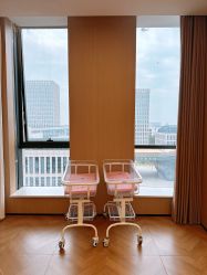 -千禧果月子会所(郑州东站店)