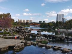 -洛龙公园