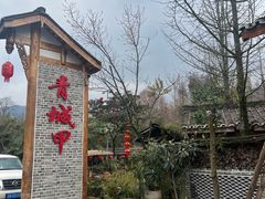 -青城甲(青城山店)