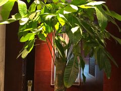 -冶春茶社(官园桥店)