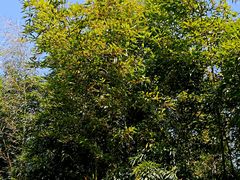 -苏州河梦清园环保主题公园