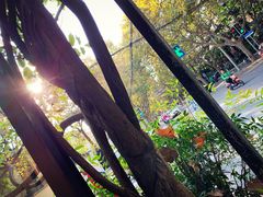 景观位-夏朵餐厅(丁香店)