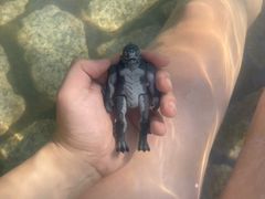 -龙佳生态温泉山庄