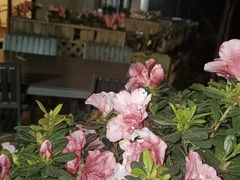-宋宴(虎跑店)