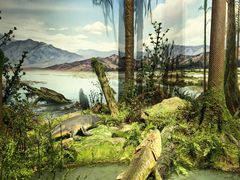 -国家自然博物馆