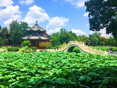 -莲池书院博物馆