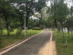 -松山湖梦幻百花洲