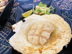 碳烤深海大元贝/只-1218 GRILL 主厨