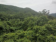 -呀诺达热带雨林