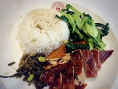 -上海财经大学-绿叶食堂