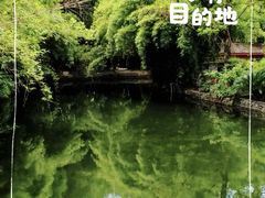 -棠湖公园