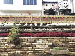 -新安江山水画廊风景区