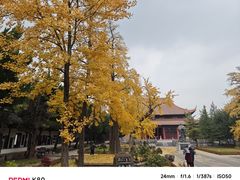 -苏州文庙(姑苏区)