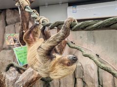 -正佳雨林生态植物园