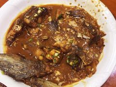 -全乐鱼馆·淳牌有机鱼直营店