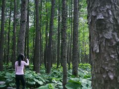 -洛阳白云山景区